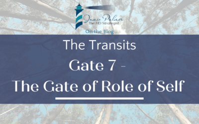 Human Design Gate 7 – The Gate of the Role of Self