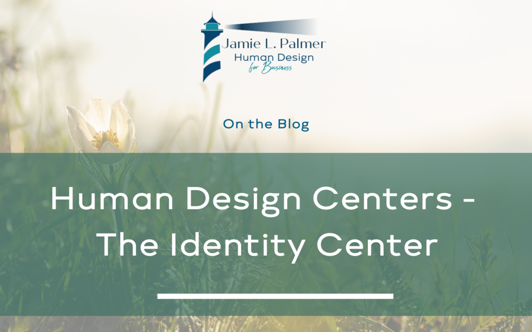 Human Design Centers – The Identity Center