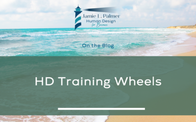 Human Design Type & Strategy – The Training Wheels